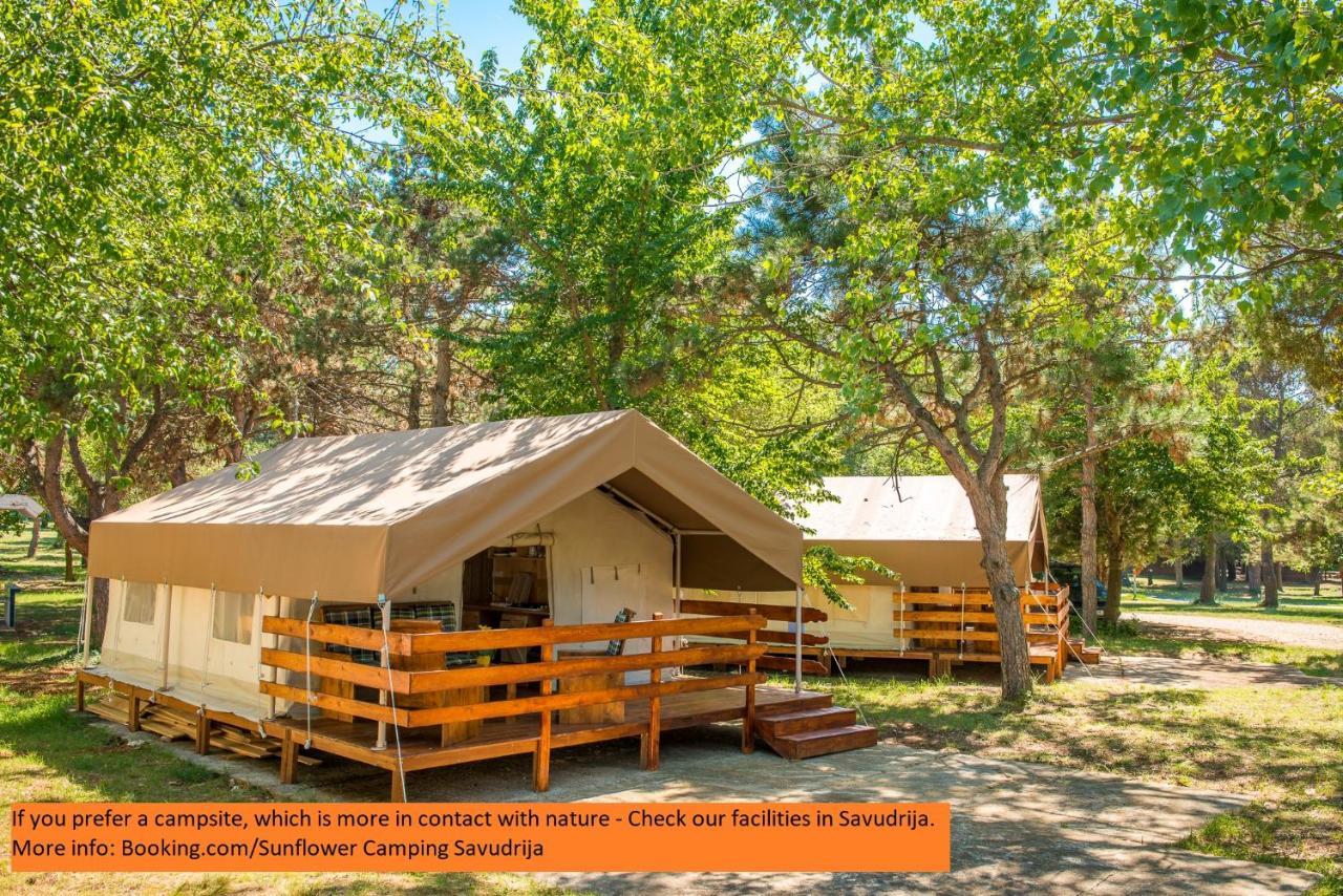 Sunflower Camping Mareda Luaran gambar