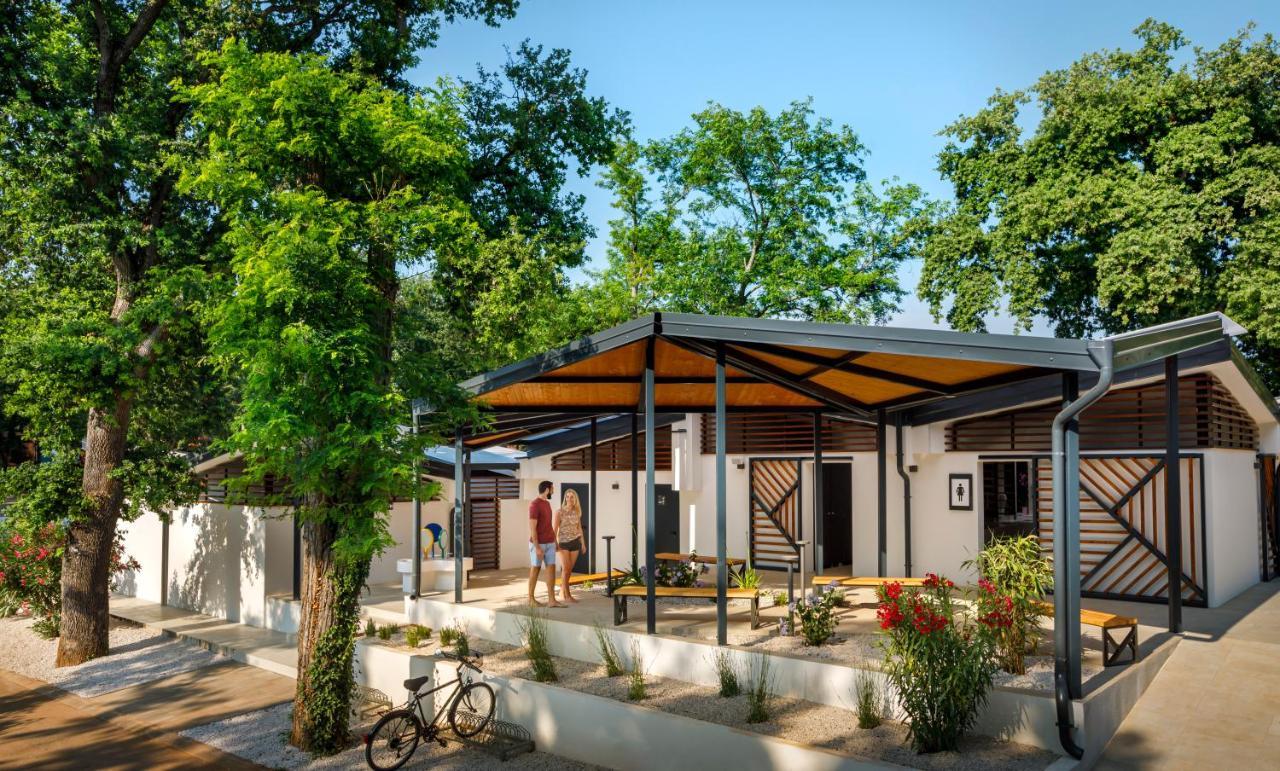 Sunflower Camping Mareda Luaran gambar