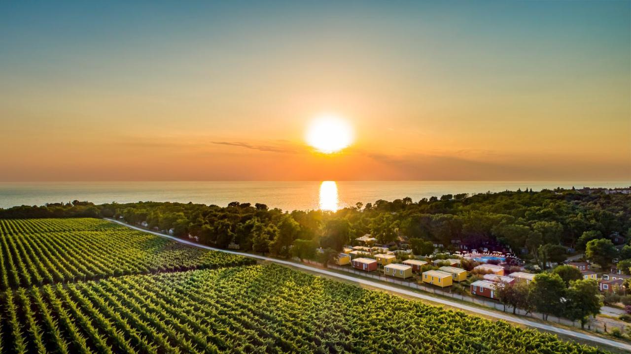 Sunflower Camping Mareda Luaran gambar